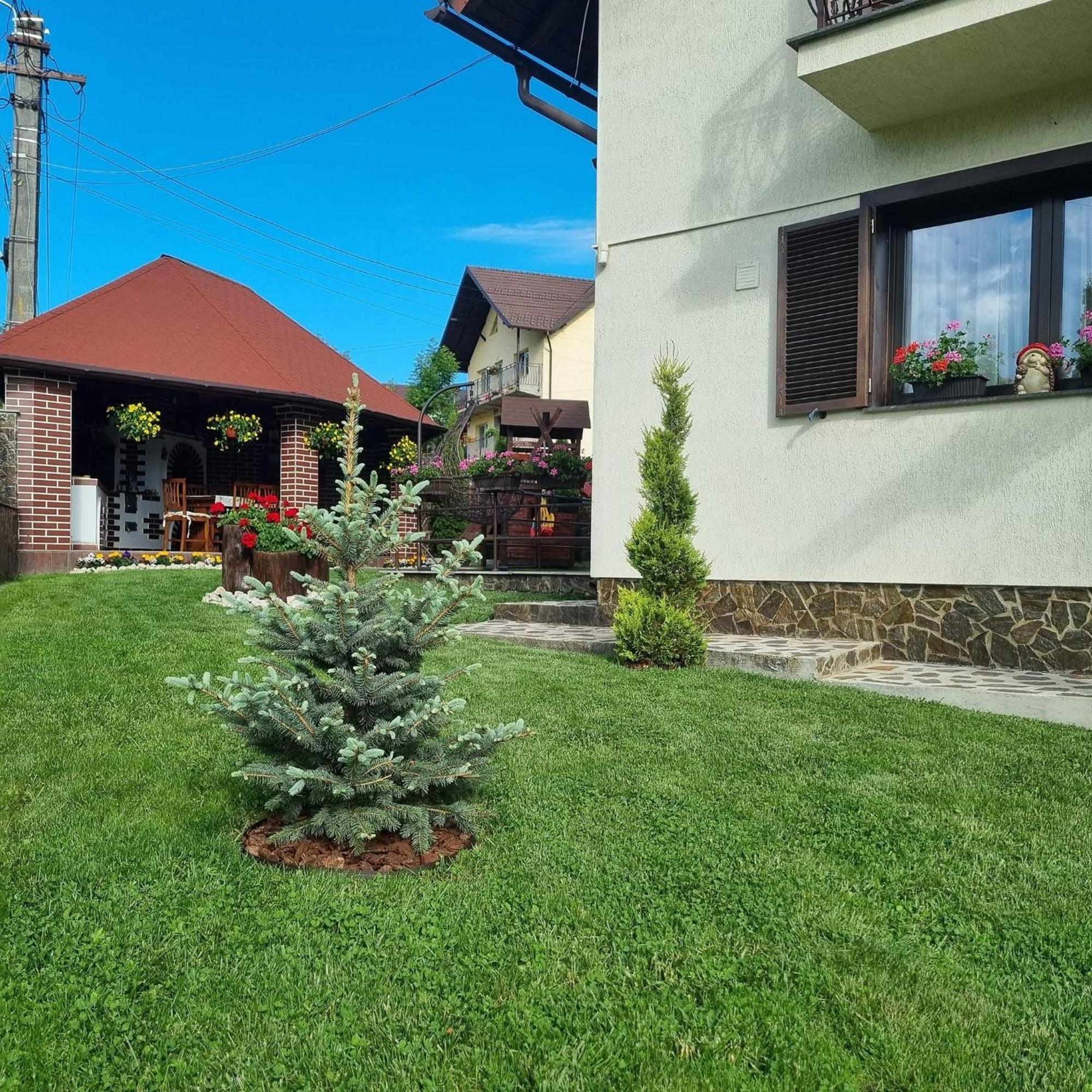 Pensiunea Select Curtea De Arges Exterior photo